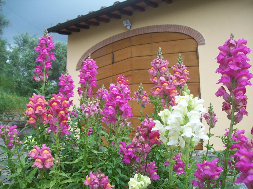 La Casa Dei Limoni Daire Matraia Dış mekan fotoğraf