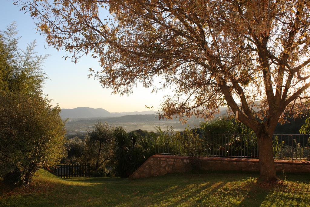 La Casa Dei Limoni Daire Matraia Dış mekan fotoğraf