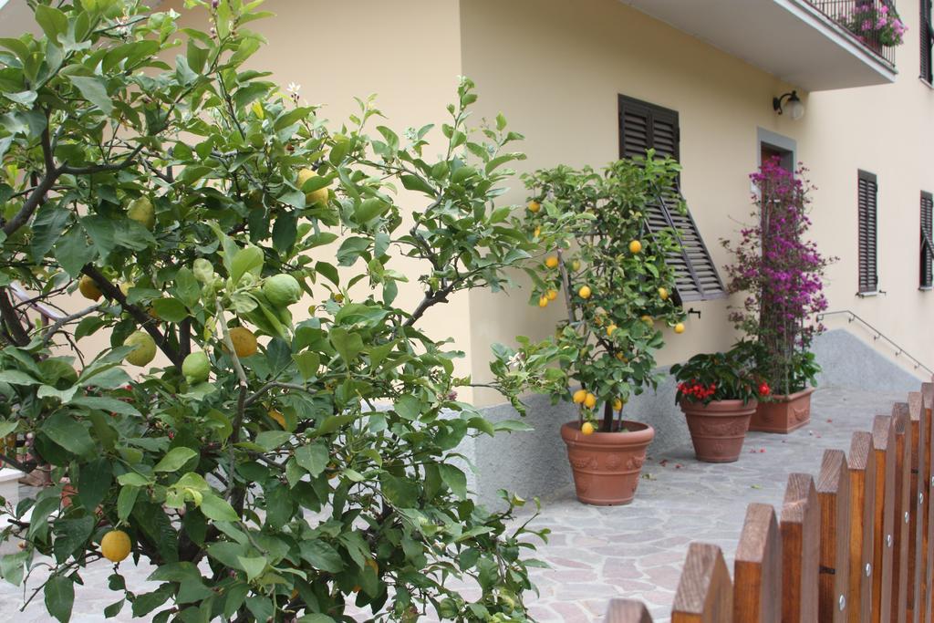 La Casa Dei Limoni Daire Matraia Dış mekan fotoğraf