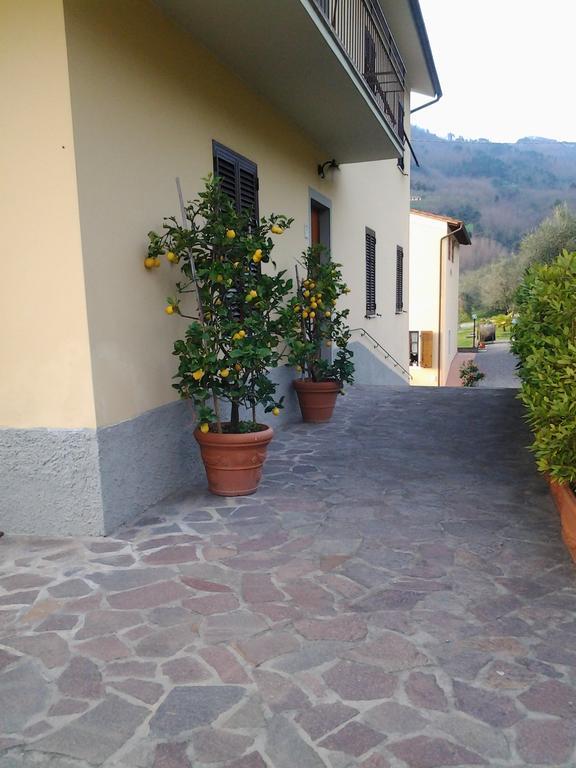 La Casa Dei Limoni Daire Matraia Dış mekan fotoğraf