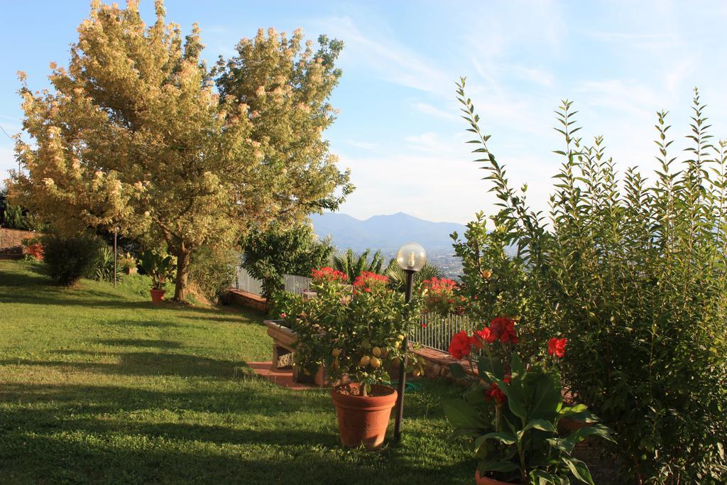 La Casa Dei Limoni Daire Matraia Dış mekan fotoğraf